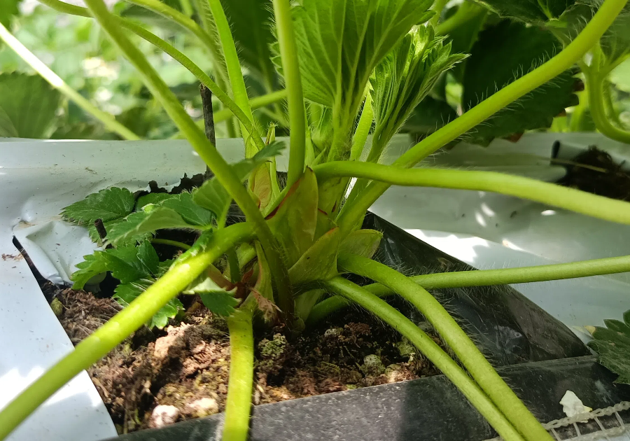 IMG20240317103152.png IMG20240317103152.png