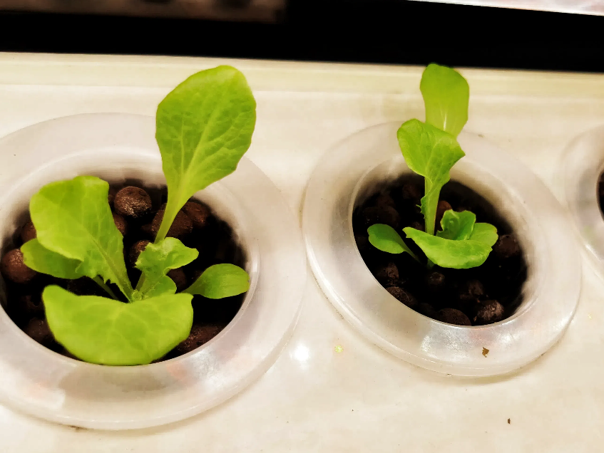 64849bf307f8439d6b8e4c412ede734a.png 64849bf307f8439d6b8e4c412ede734a.png