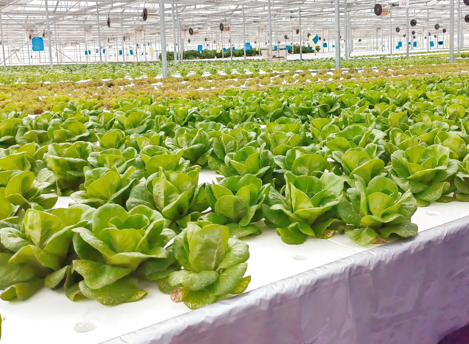 e267920abc9d8949ec9f5cbe8d92f786.png e267920abc9d8949ec9f5cbe8d92f786.png