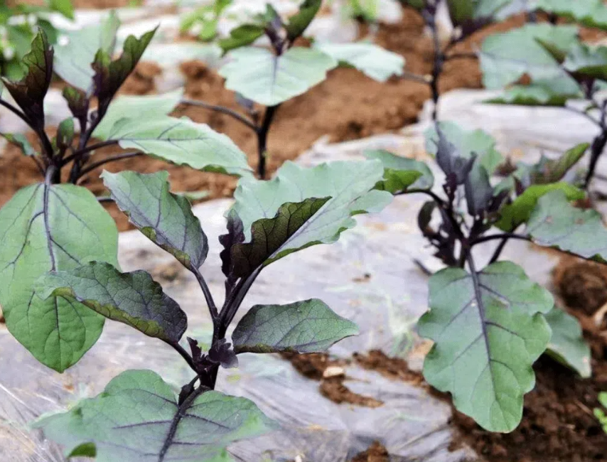 0b435f8e6f86986909394c83c7f04fa0 (1).png 0b435f8e6f86986909394c83c7f04fa0 (1).png