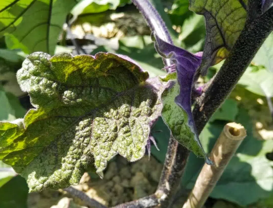 8cc16bc46c0213de144bb42447679a96.png 8cc16bc46c0213de144bb42447679a96.png