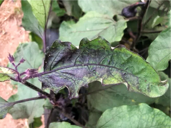 98eec40956ce83cad7bb52f3fab6f5af.png 98eec40956ce83cad7bb52f3fab6f5af.png