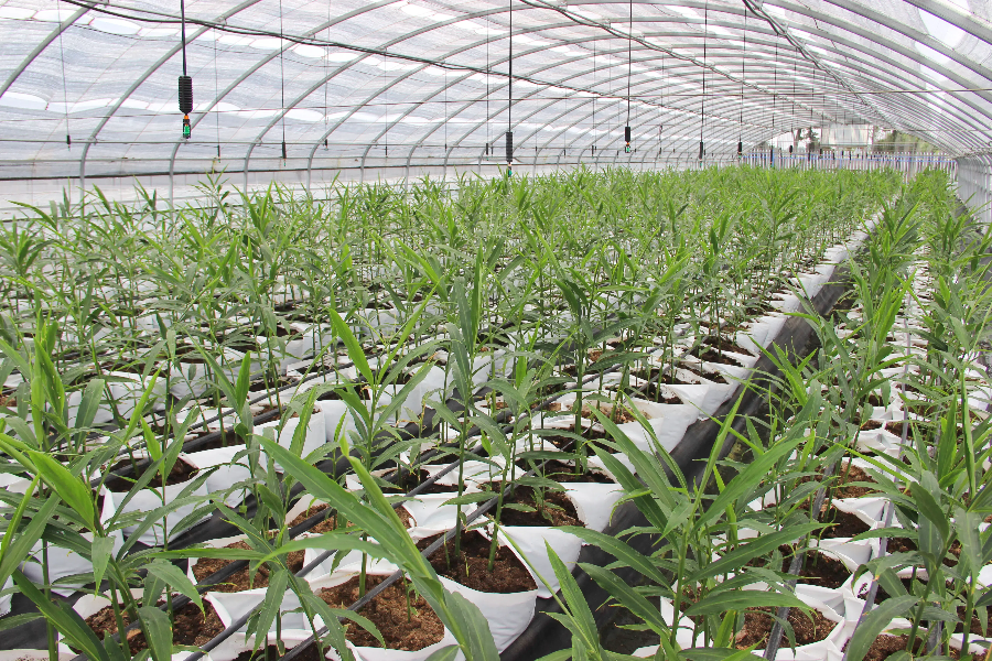 e473c381d20f775ff1b8203beea4f63b.png e473c381d20f775ff1b8203beea4f63b.png