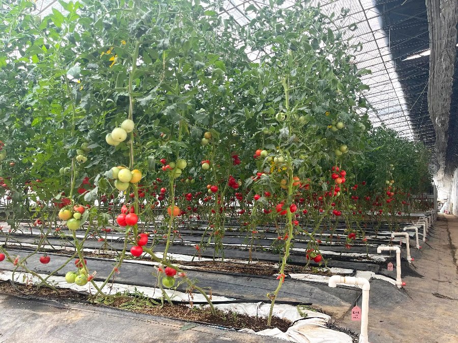 d1306c572cf0f7326270ea4602a9ac29.png d1306c572cf0f7326270ea4602a9ac29.png