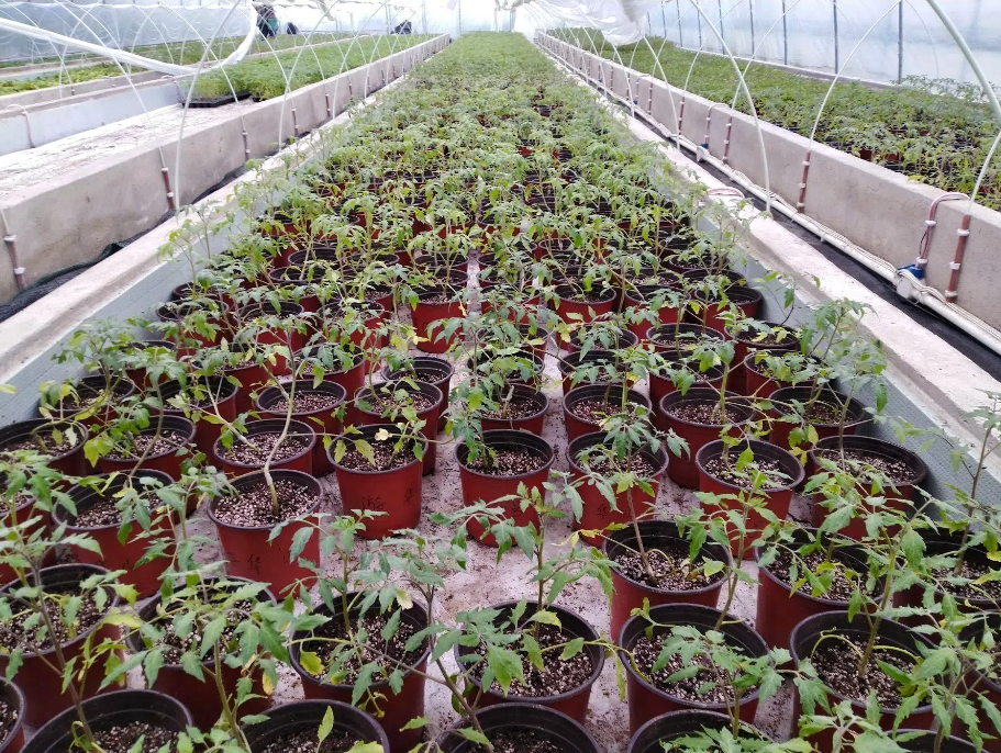 7c344c641c1c71ac4e9989ff871d8025.png 7c344c641c1c71ac4e9989ff871d8025.png