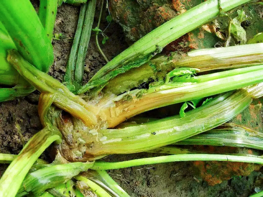 c3845aeada36846097a04ee07fe486d3.png c3845aeada36846097a04ee07fe486d3.png