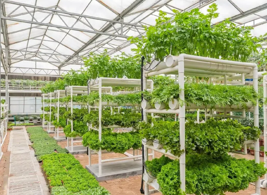 d343c2b6c5eca06eee0b7617a4261e36.png d343c2b6c5eca06eee0b7617a4261e36.png