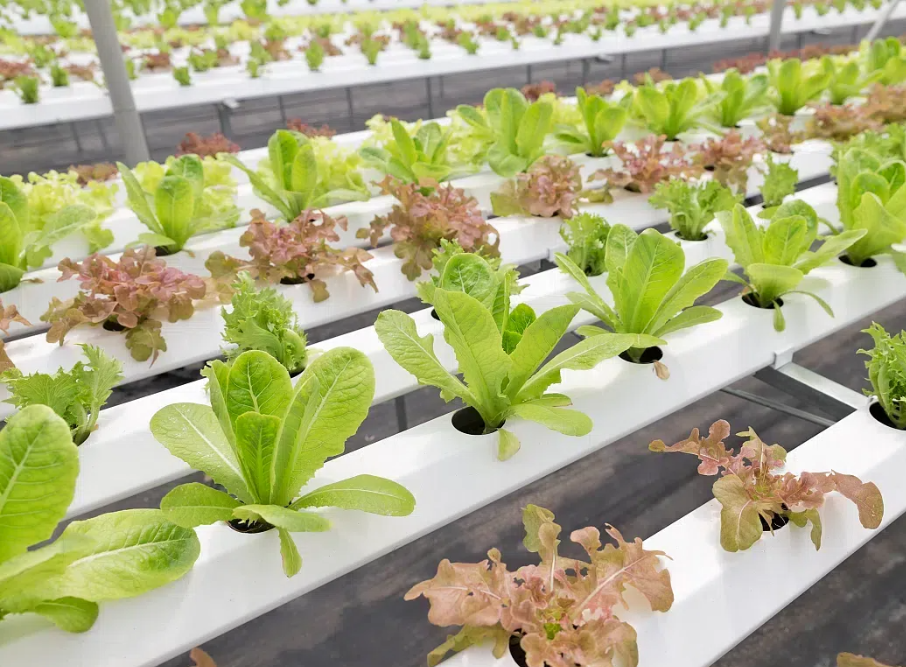 302f9e84bbec3fbb8503fd2307d00d03.png 302f9e84bbec3fbb8503fd2307d00d03.png