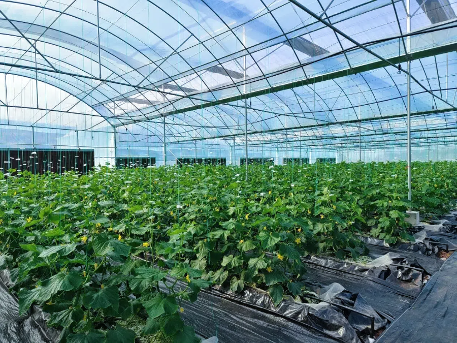 1e8b410844f3c586fa60063593ed97ec (1).png 1e8b410844f3c586fa60063593ed97ec (1).png