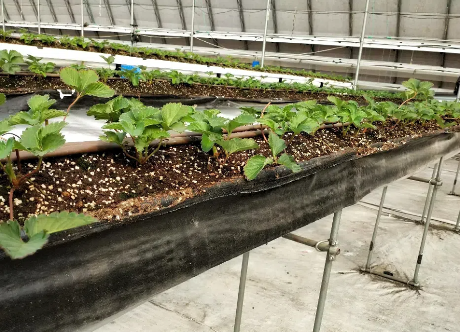 IMG_20230926_091036.png IMG_20230926_091036.png