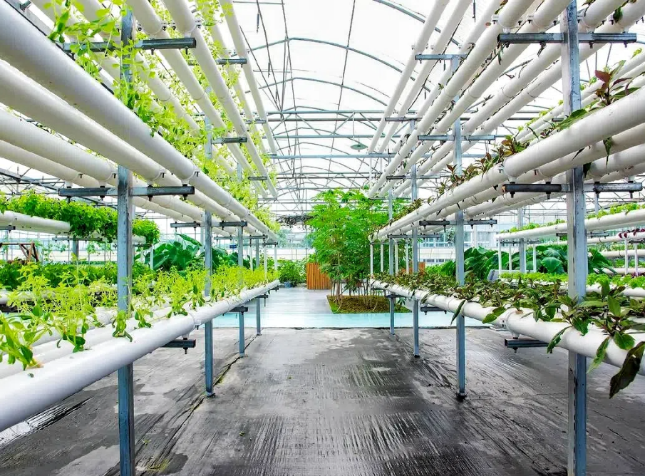 acb08a760379bfcb9af1153526610f61.png acb08a760379bfcb9af1153526610f61.png