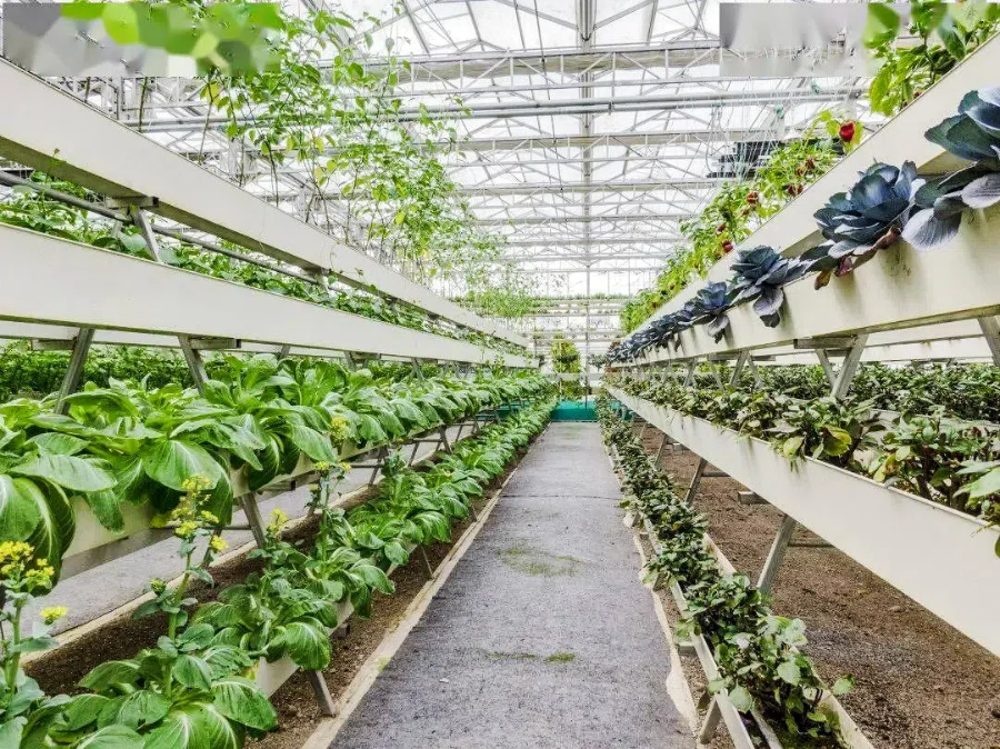 d809bccd3f583e9a2dfd2fa35330cd91.png d809bccd3f583e9a2dfd2fa35330cd91.png