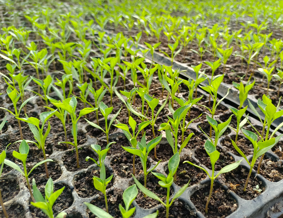 9e94e145fc50df602e67aeb3b20043a8.png 9e94e145fc50df602e67aeb3b20043a8.png