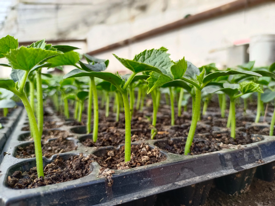 866f86b7db08233c5ffde240f1e72b7c.png 866f86b7db08233c5ffde240f1e72b7c.png