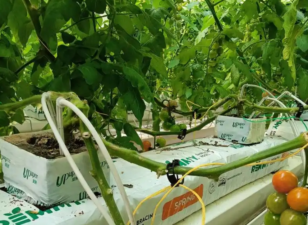 screenshot-1733886278148.png screenshot-1733886278148.png