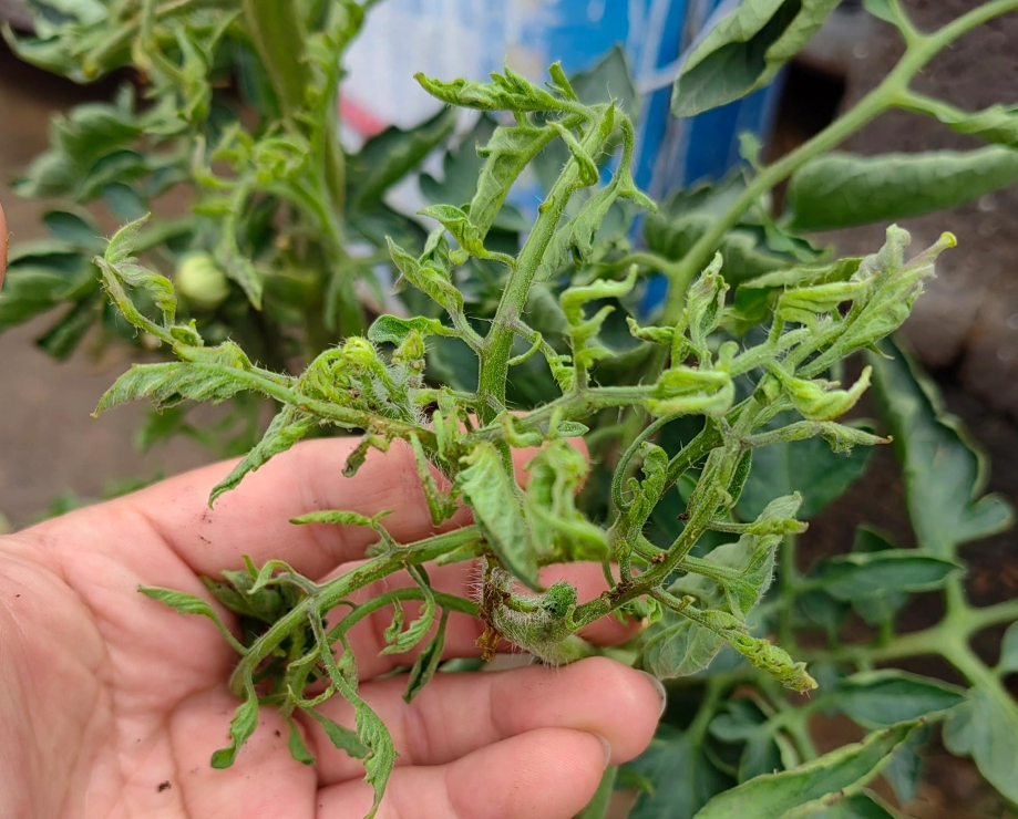 screenshot-1733886499435.png screenshot-1733886499435.png