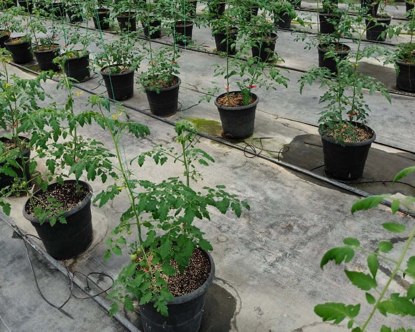 screenshot-1733886317810.png screenshot-1733886317810.png