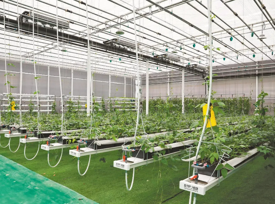 b47c08887d91c22c3cc5b56f8e3e53a3.png b47c08887d91c22c3cc5b56f8e3e53a3.png