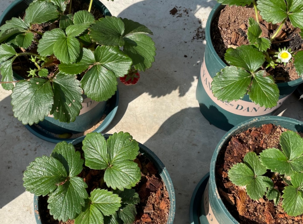 screenshot-1734240792968.png screenshot-1734240792968.png