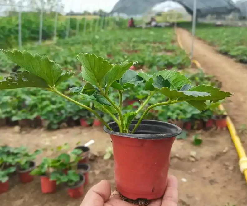 screenshot-1734240467047.png screenshot-1734240467047.png