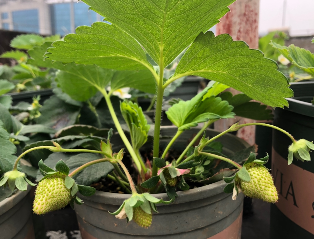 screenshot-1734240617282.png screenshot-1734240617282.png