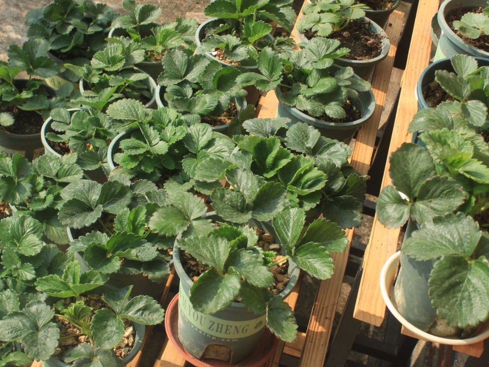 screenshot-1734241072760.png screenshot-1734241072760.png