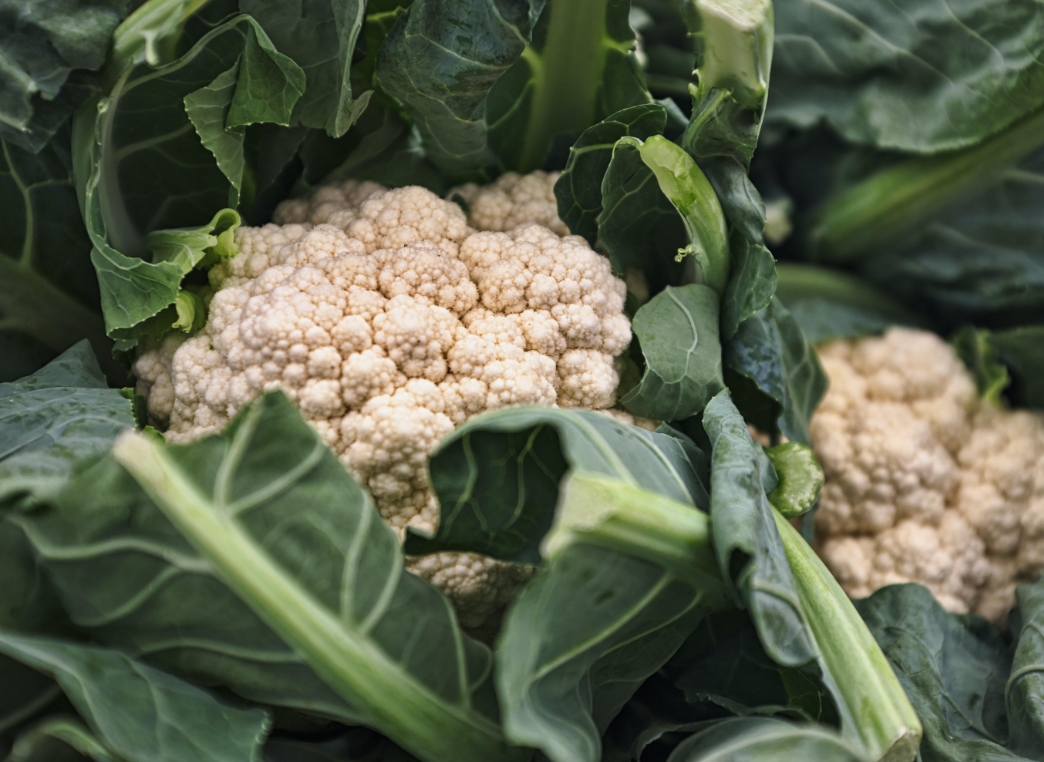 screenshot-1734316448428.png screenshot-1734316448428.png