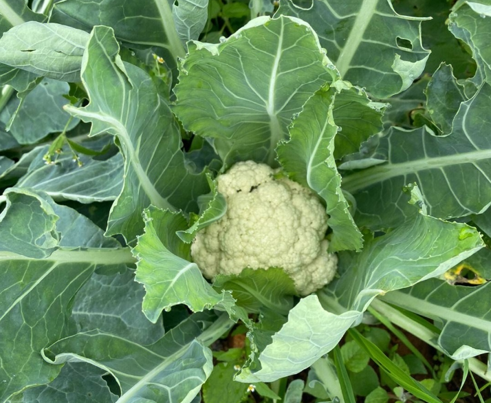 screenshot-1734316104465.png screenshot-1734316104465.png