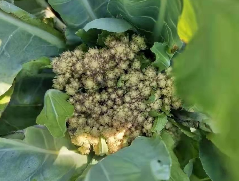 screenshot-1734316210934.png screenshot-1734316210934.png