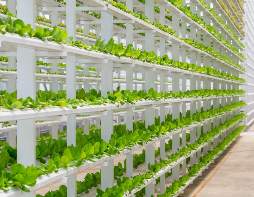 screenshot-1734854281637.png screenshot-1734854281637.png