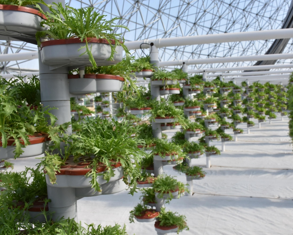 screenshot-1734855192219.png screenshot-1734855192219.png