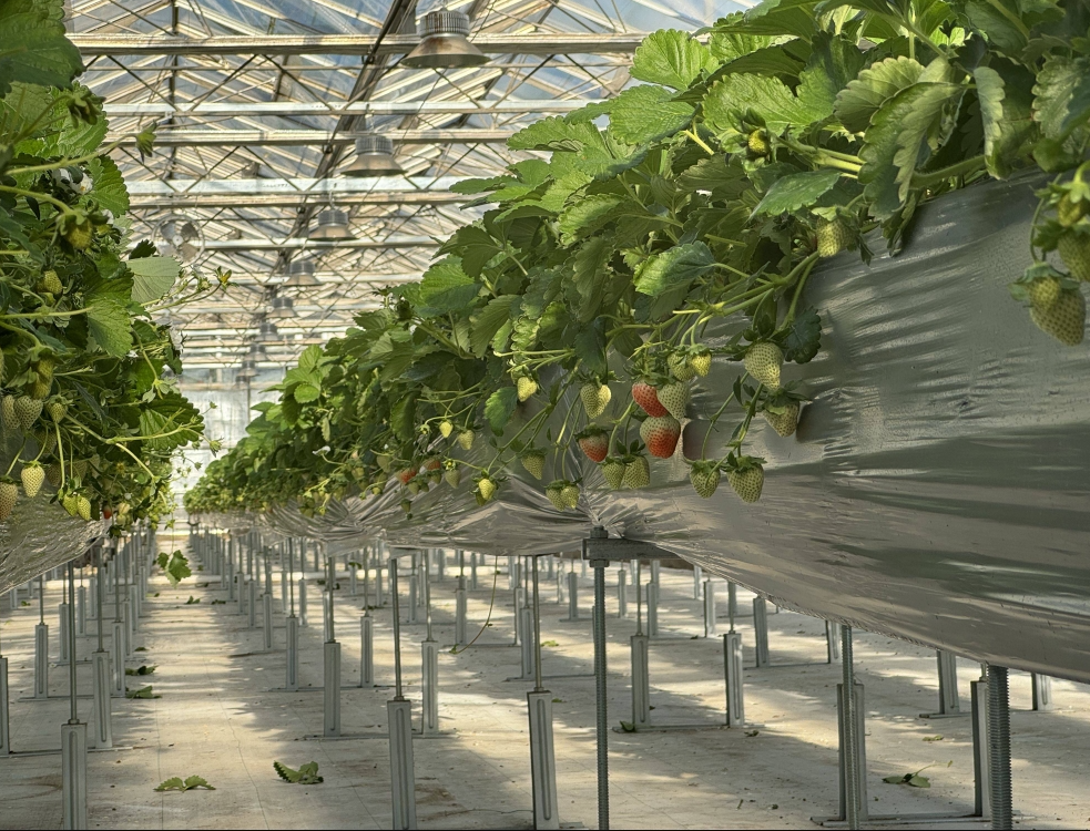 screenshot-1734854406009.png screenshot-1734854406009.png