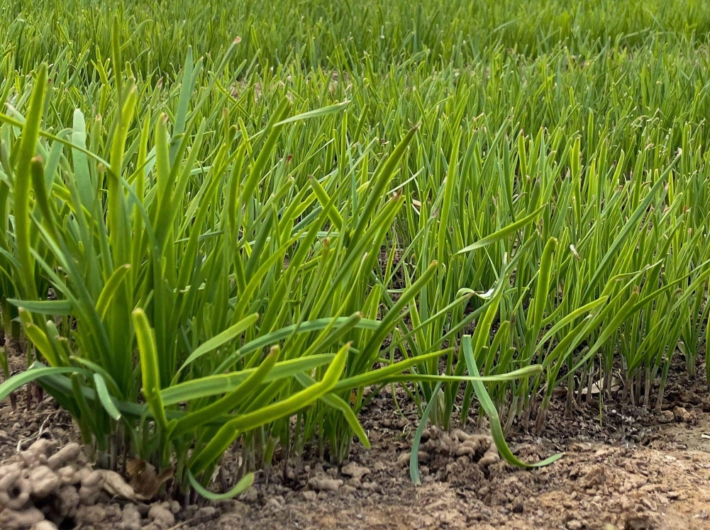 screenshot-1735258394670.png screenshot-1735258394670.png