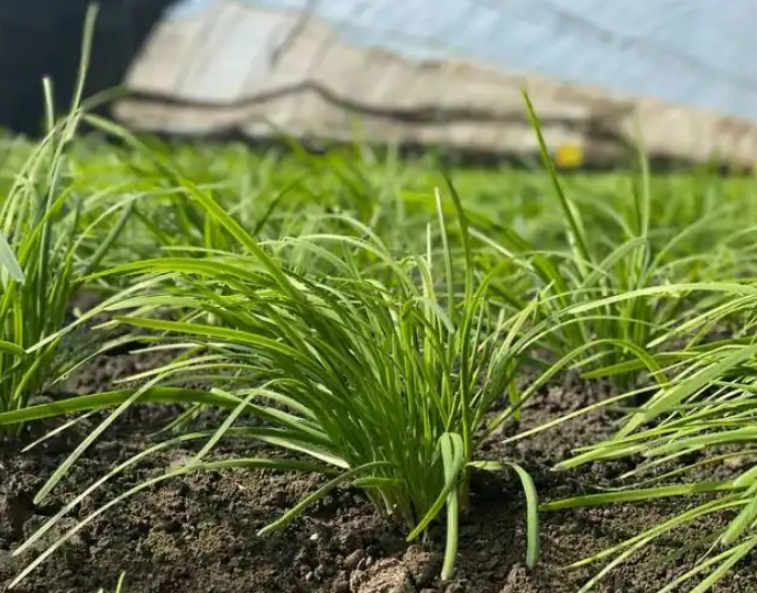 screenshot-1735258279653.png screenshot-1735258279653.png