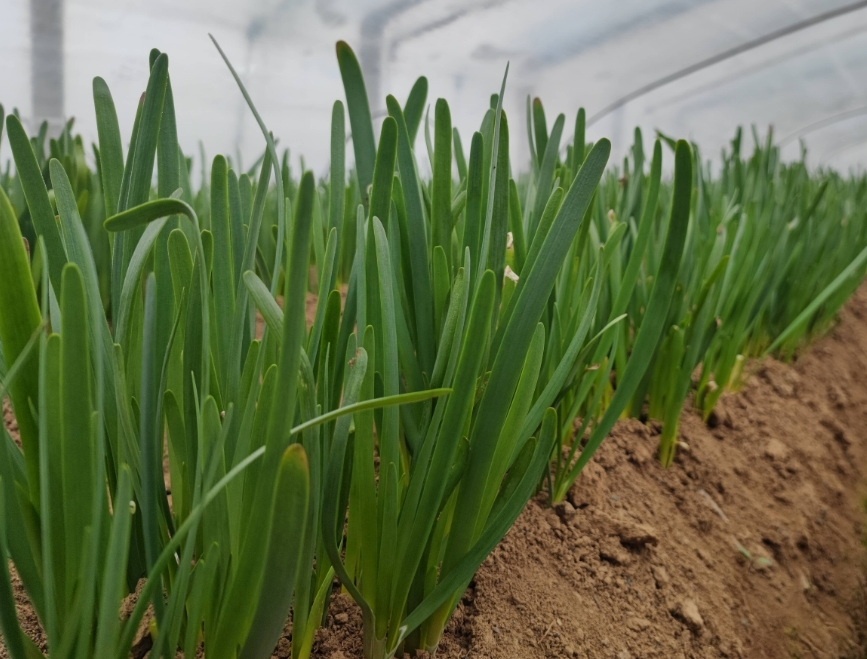 screenshot-1735258510056.png screenshot-1735258510056.png