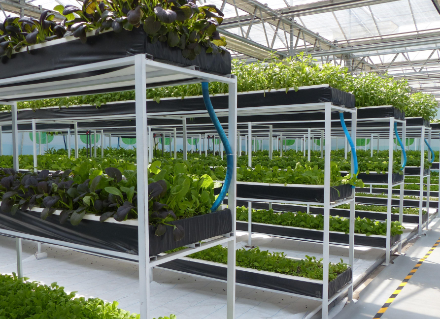 QQ20241009-154527.png QQ20241009-154527.png