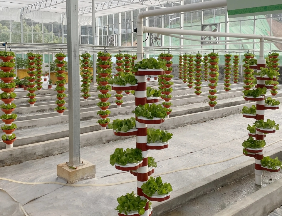 screenshot-1735518930282.png screenshot-1735518930282.png