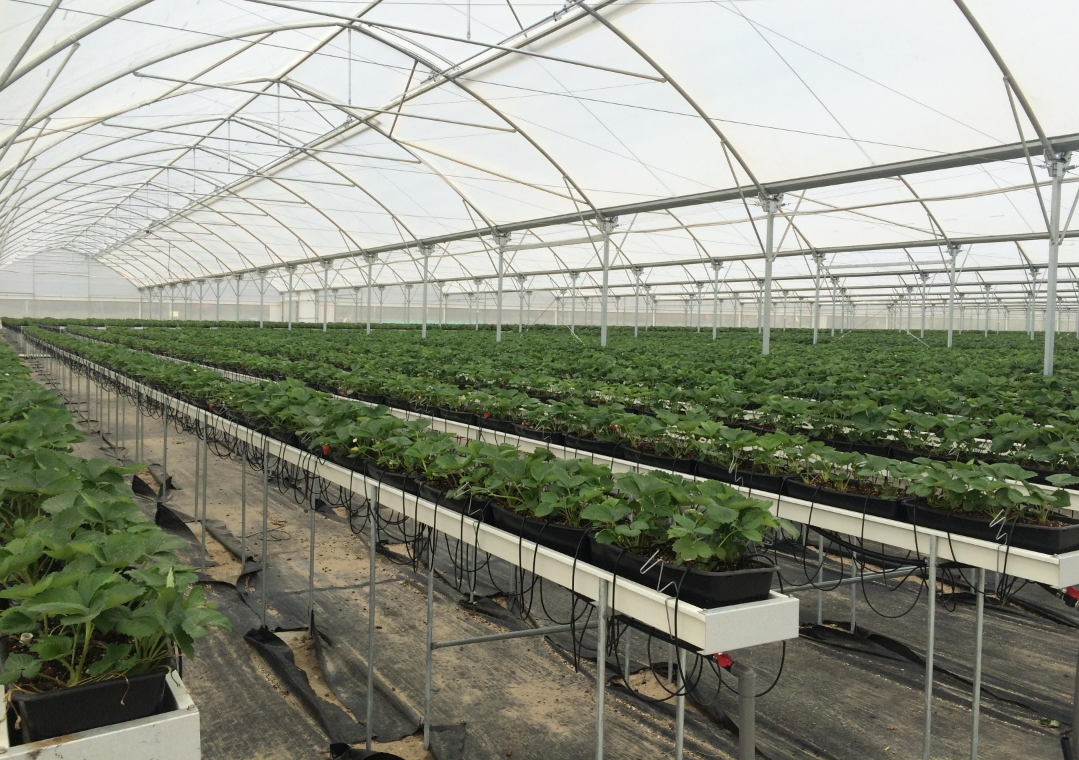 screenshot-1735863671087.png screenshot-1735863671087.png