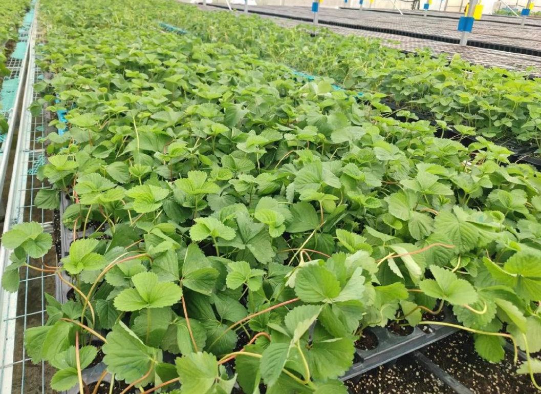 screenshot-1736730392517.png screenshot-1736730392517.png