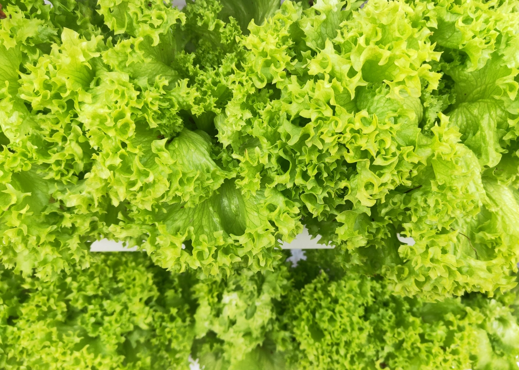 screenshot-1736381263758.png screenshot-1736381263758.png