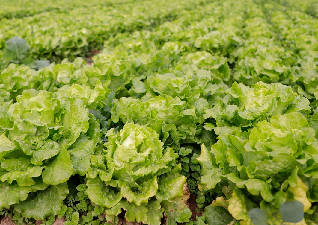 screenshot-1736381132164.png screenshot-1736381132164.png