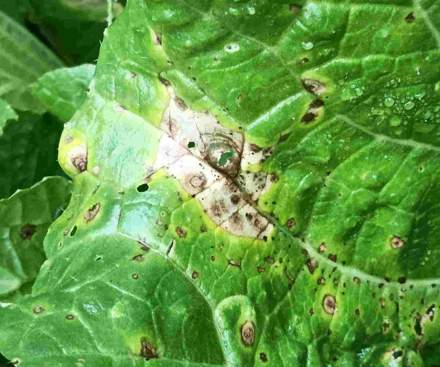 screenshot-1736240068332.png screenshot-1736240068332.png