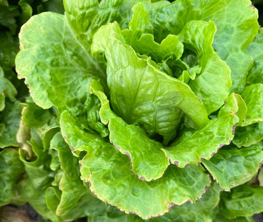 screenshot-1736240145238.png screenshot-1736240145238.png