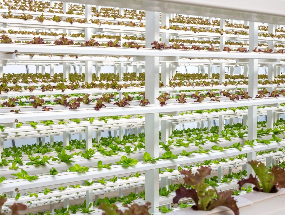 screenshot-1735260587485.png screenshot-1735260587485.png