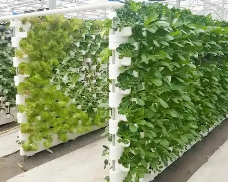 screenshot-1735262608565.png screenshot-1735262608565.png