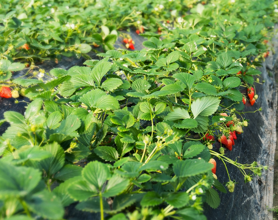 screenshot-1736040380493.png screenshot-1736040380493.png