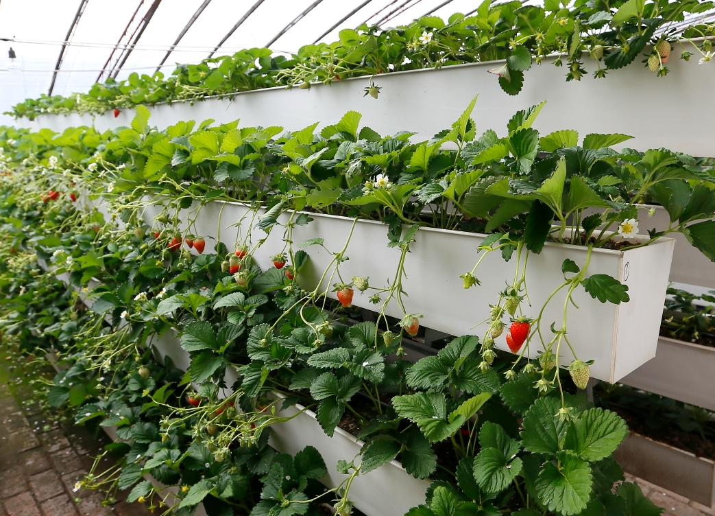 screenshot-1736383791794.png screenshot-1736383791794.png