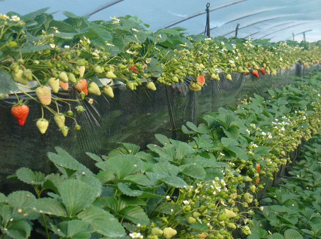 screenshot-1736383735310.png screenshot-1736383735310.png