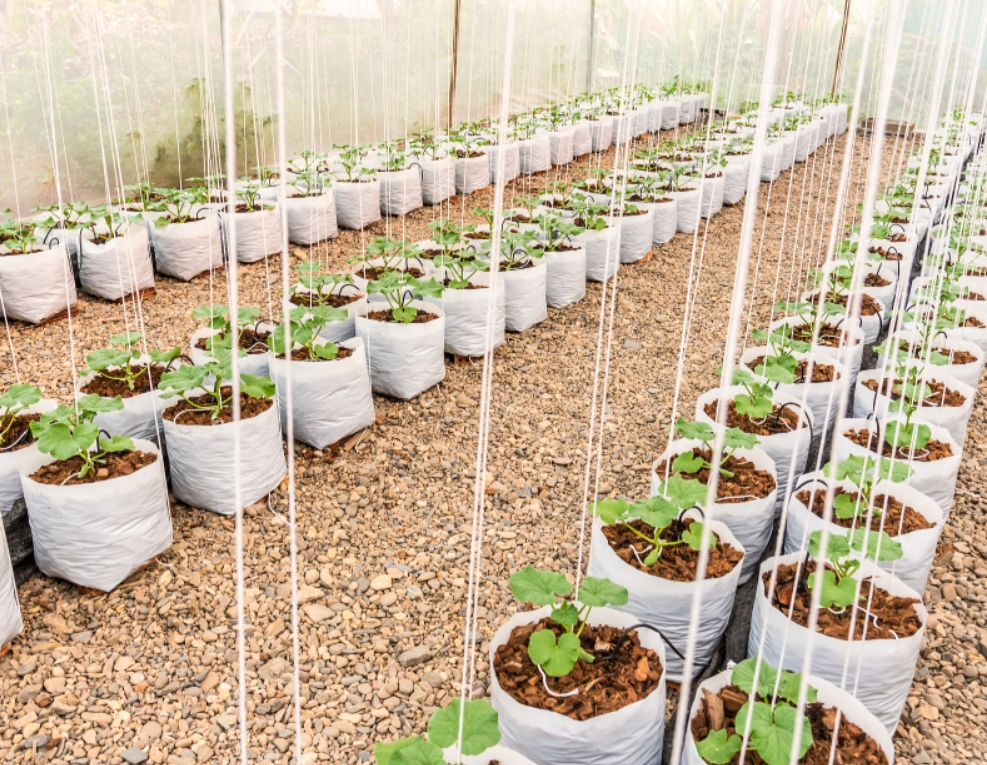 screenshot-1735863490959.png screenshot-1735863490959.png