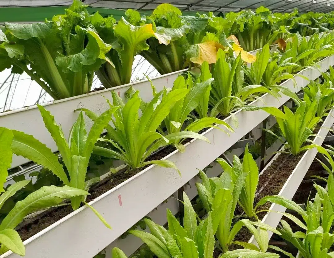 fe1977109151cb0becf5d872439c48fb.png fe1977109151cb0becf5d872439c48fb.png